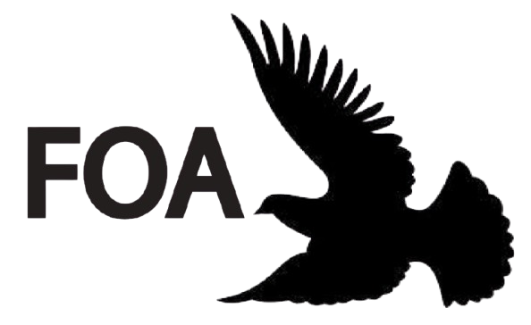 Fountain of African Initiative International
